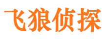 镇平寻人公司